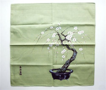 Furoshiki Green Tea Blossom Bonsai - shimazakura