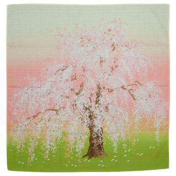 Furoshiki Beautiful Pink Blossom Flower - shimazakura